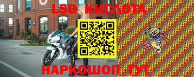 прущие грибы Можга