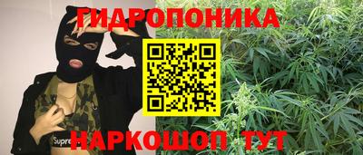 СК Можайск