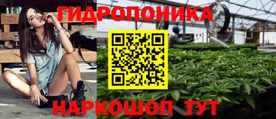 прущие грибы Можга
