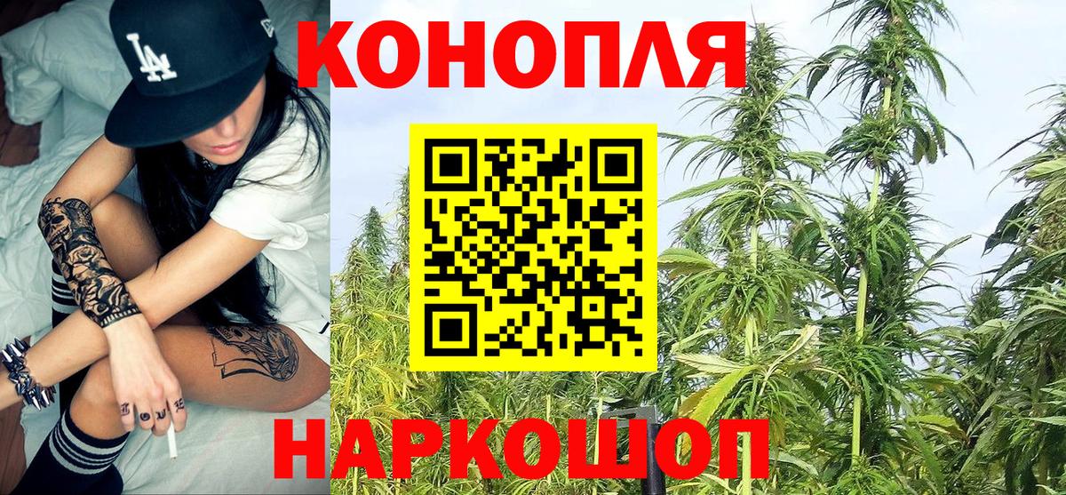 Конопля марихуана  Вход с VPN  Бошки марихуана White Widow  МАРИХУАНА сатива  Одинцово  Бошки марихуана гибрид 